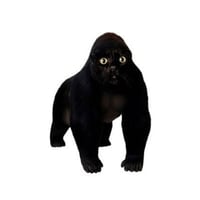 apecat