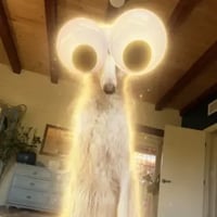 fomodog