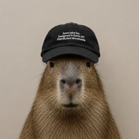 §{project.tokenName} project token, view analysis on Boostexplorer