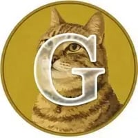 GIN logo