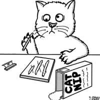 Catnip