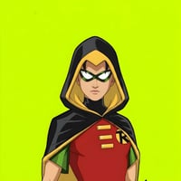 ROBIN logo