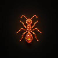 ANT