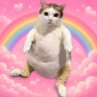 Chubby Vietnam Cat