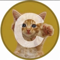 Catecoin logo
