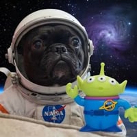SPACEDOG logo