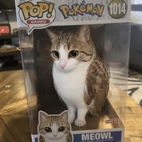 Pokémon Cat