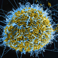 EbolaVirus logo
