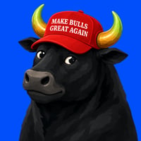 Make Bulls Great Again