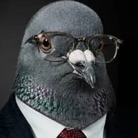 PIGEON