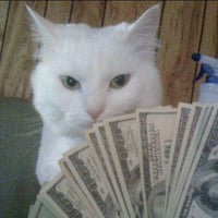 CASHCAT