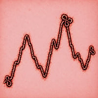 unstable ebola coin