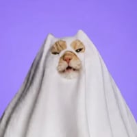 Phantom Cat