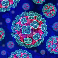 Andes Virus