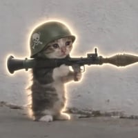 rocketcat