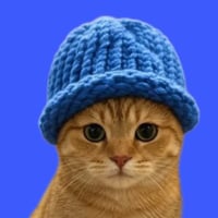 catwifhat