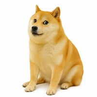 Cash Dog