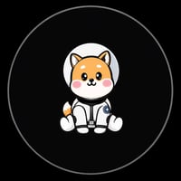 Asteroid Shiba
