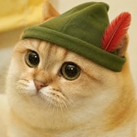 Catecoin