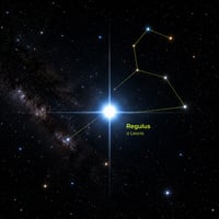 The Catestar