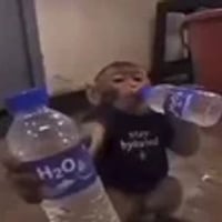 H2O