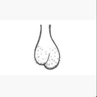 ballsackdorkl