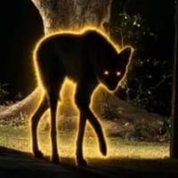 The Maned Wolf