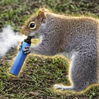 The Vaping Squirrel
