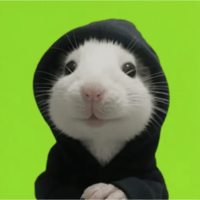 Hood Rat
