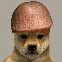 Can I Put This Dick Inu