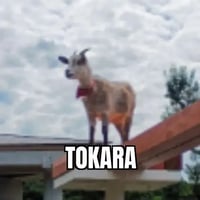 TOKARA logo