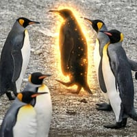 The Black King Penguin logo