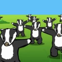 Badger Badger Badger
