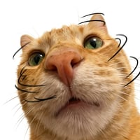 nopecat