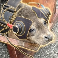 SpaceX Seal