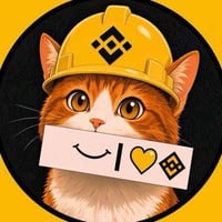 BNBCAT logo