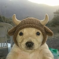BULLCHUA
