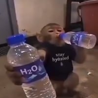 H2O logo