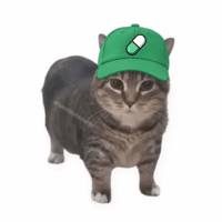 pumpfuncat