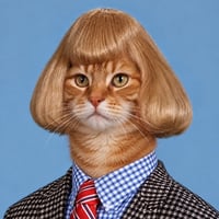 Jean Cat