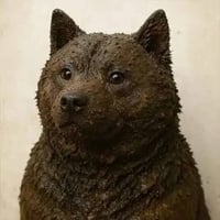 dogshit