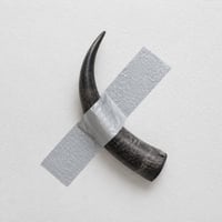 BullMedian
