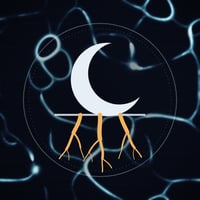 KUNG logo