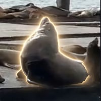 CHONKERS