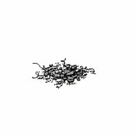 LINT logo