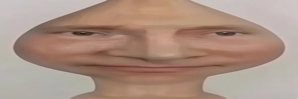 Put In banner