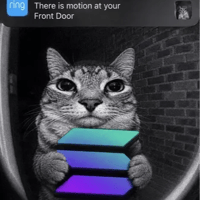 Motion logo
