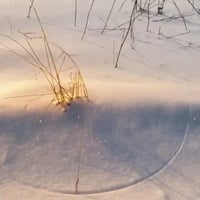 The Euclidean Grass
