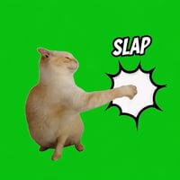 Slap Cat