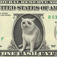 One Cash Cat Dollar
